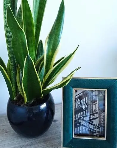 Apartmán Mazury Witaj